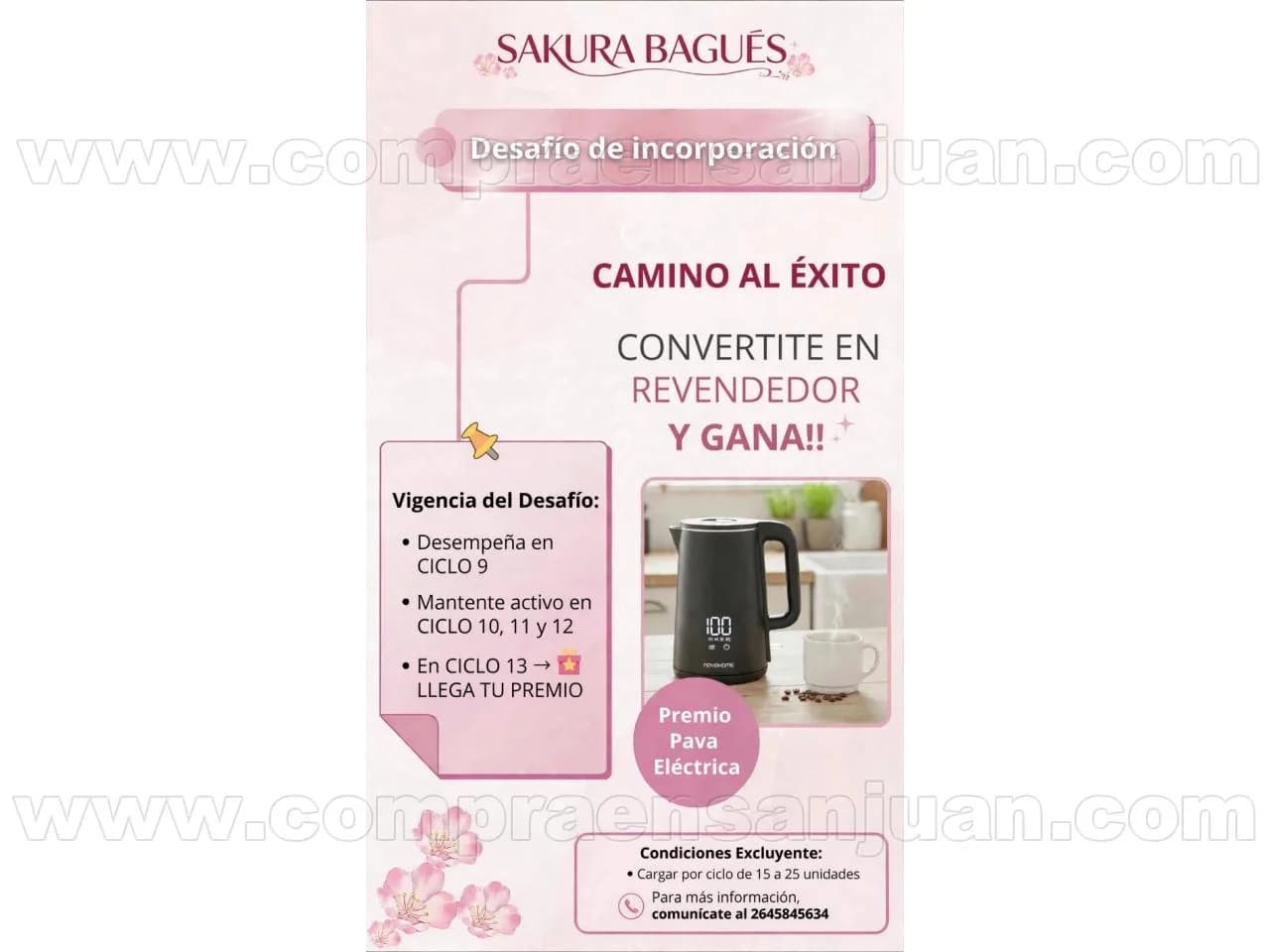 Busco Vendedor Bagues