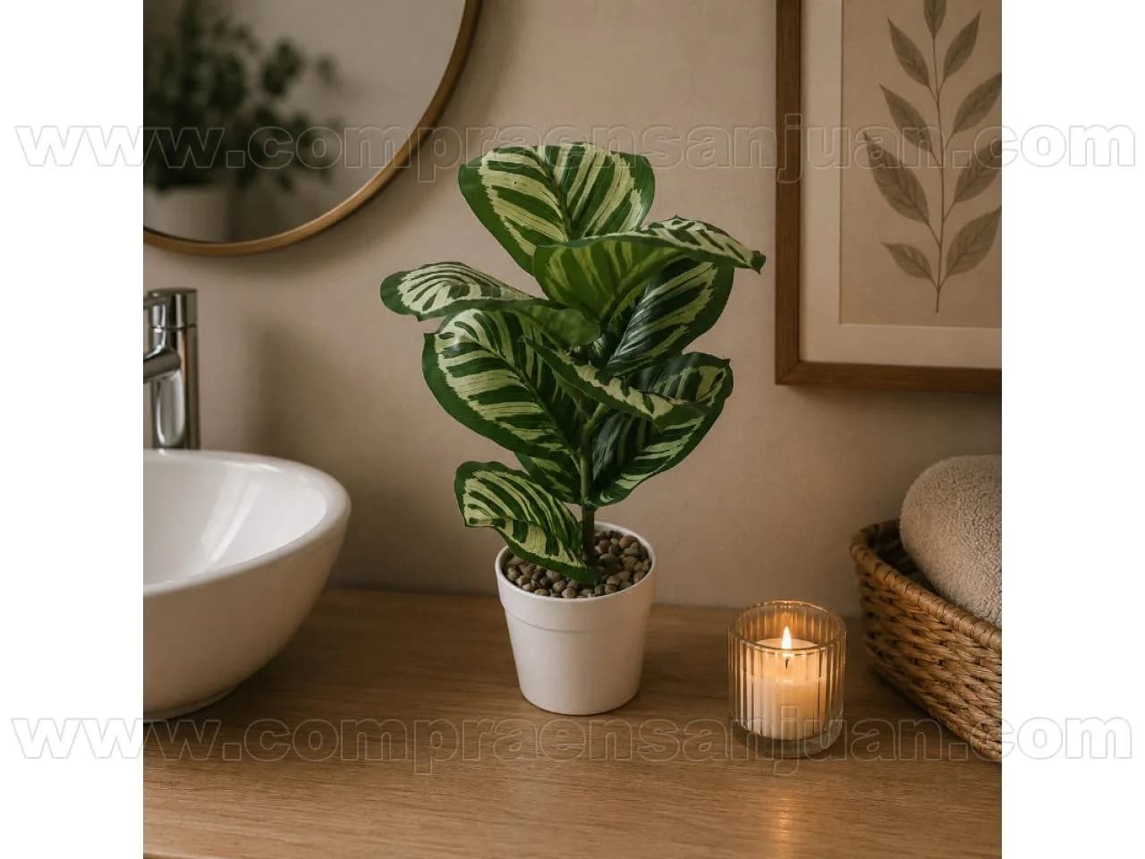 Planta Artificial Con Maceta 30 Cm Variegada Mod. 2