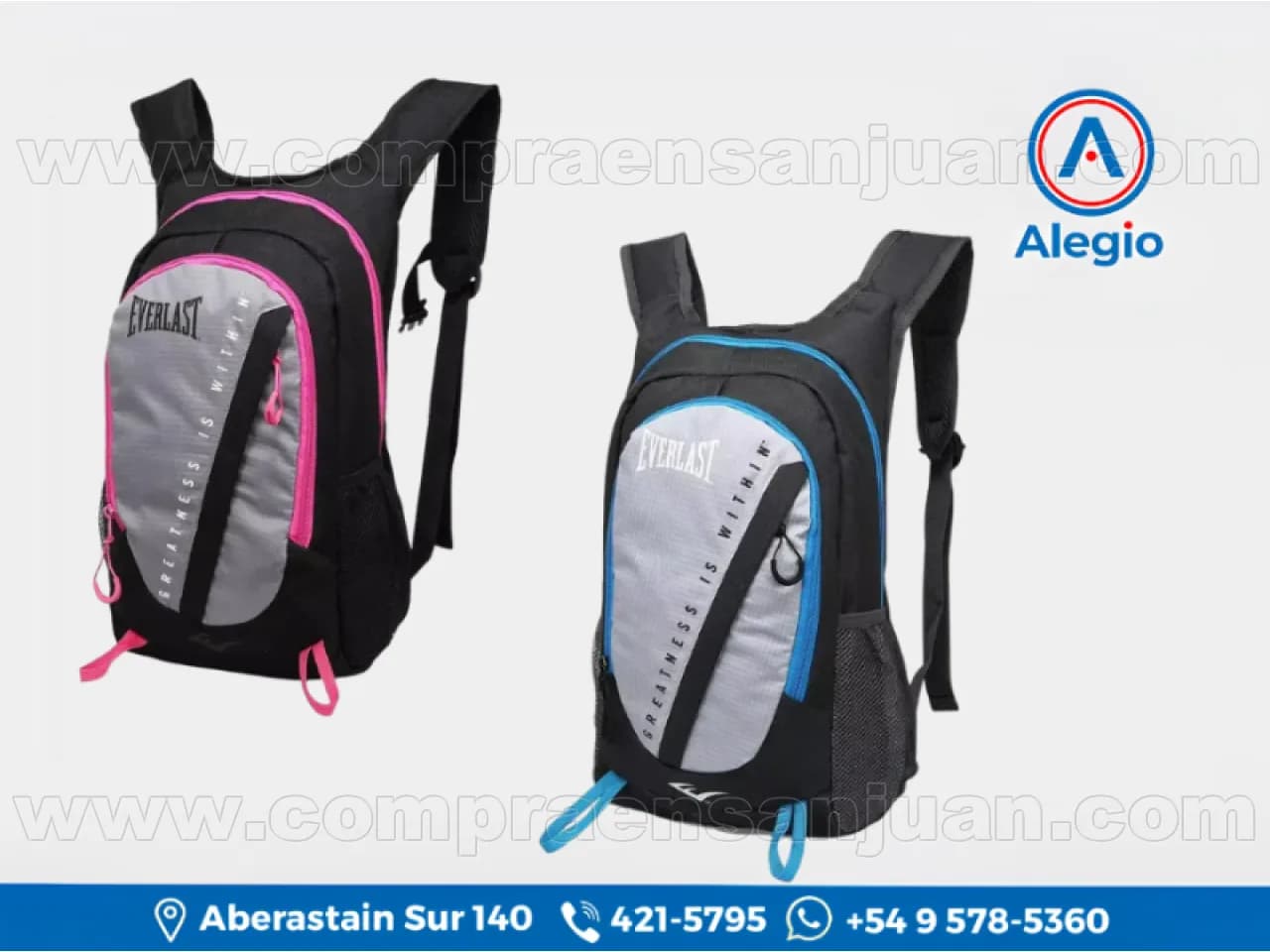 Mochila Running Everlast 22191 - Ideal Para Running, Gimnasio, Ciclismo Y Uso Diario - Nuevo (v#84463)