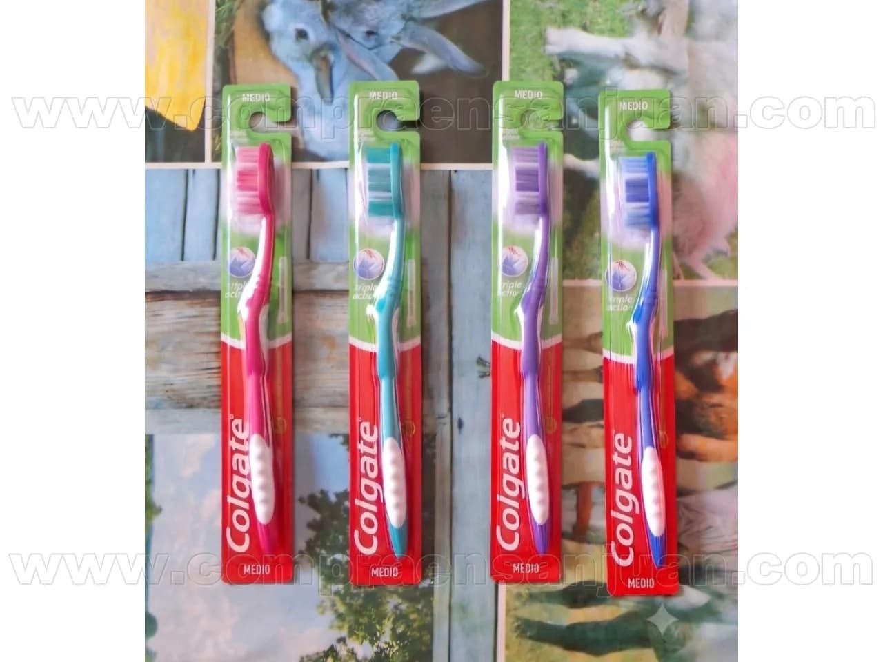 Cepillo Dental