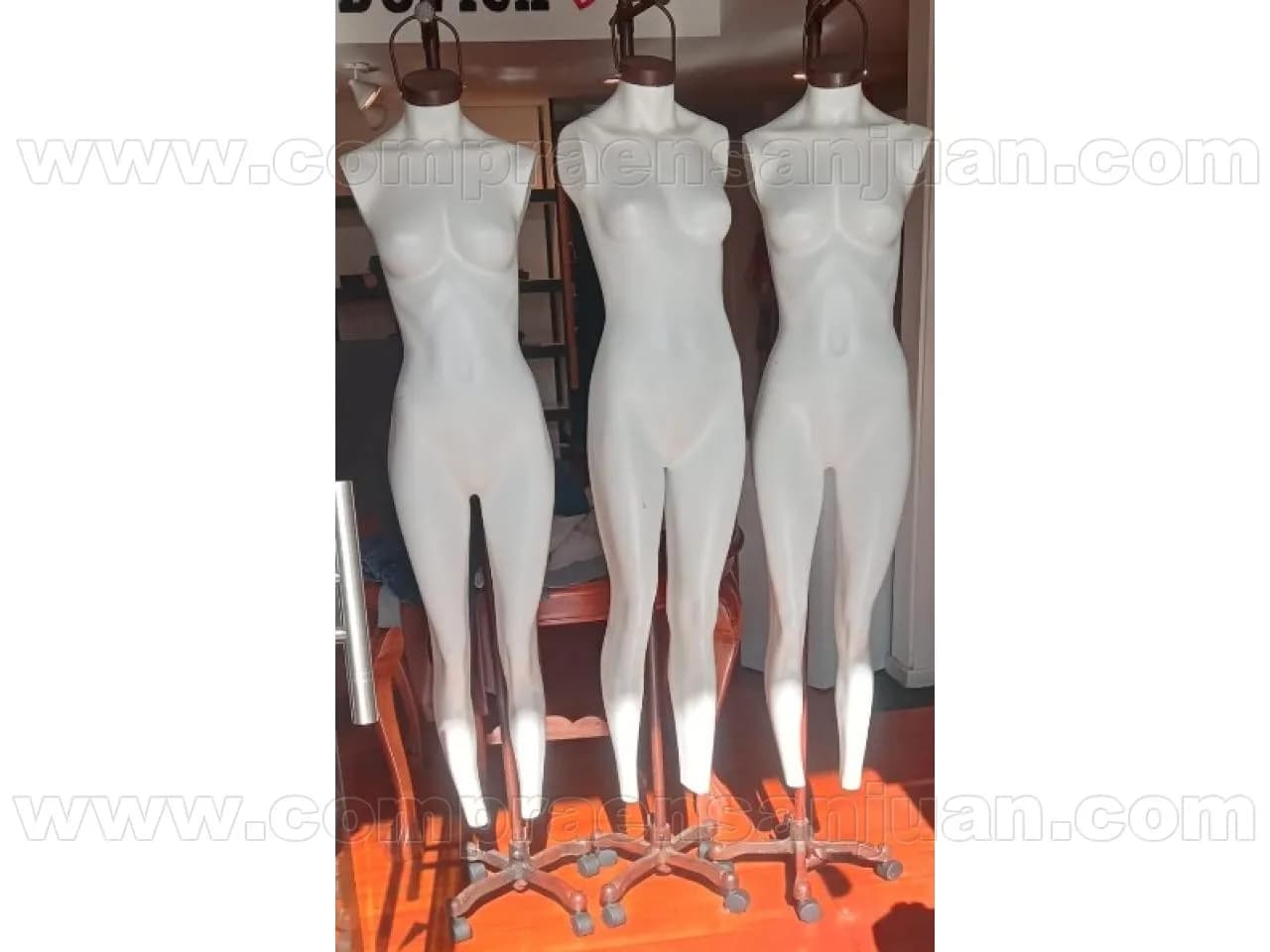 Maniquies